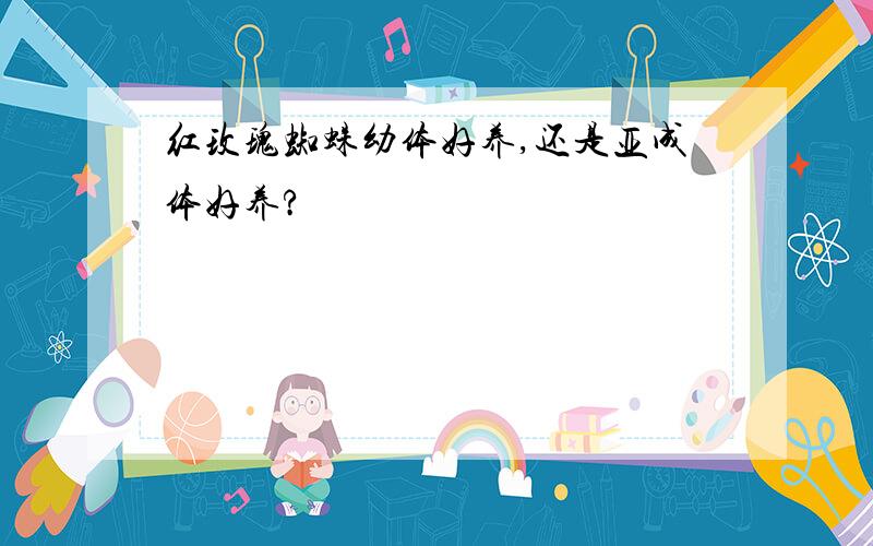 红玫瑰蜘蛛幼体好养,还是亚成体好养?