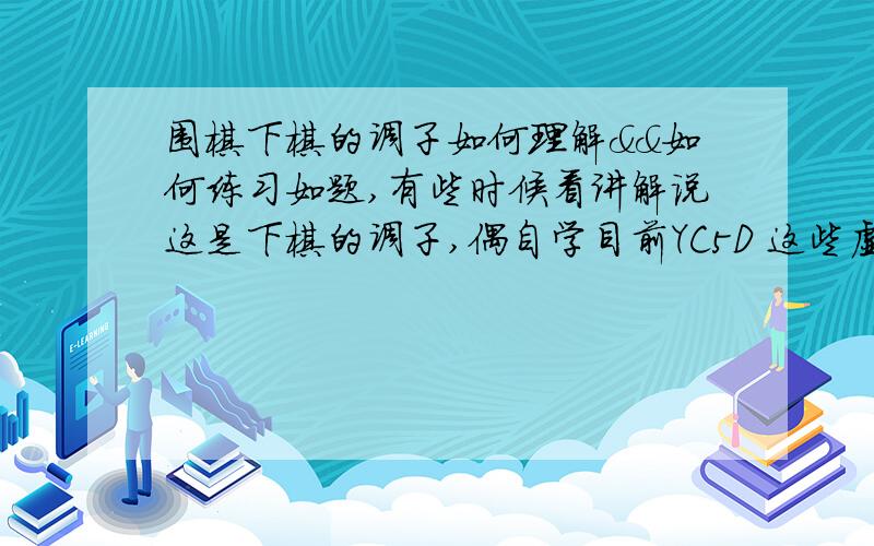 围棋下棋的调子如何理解&&如何练习如题,有些时候看讲解说这是下棋的调子,偶自学目前YC5D 这些虚幻的理解起来有困难,请高手指点