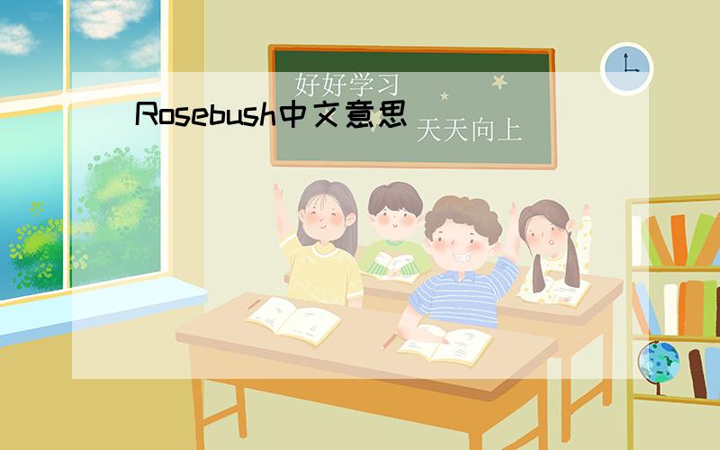 Rosebush中文意思
