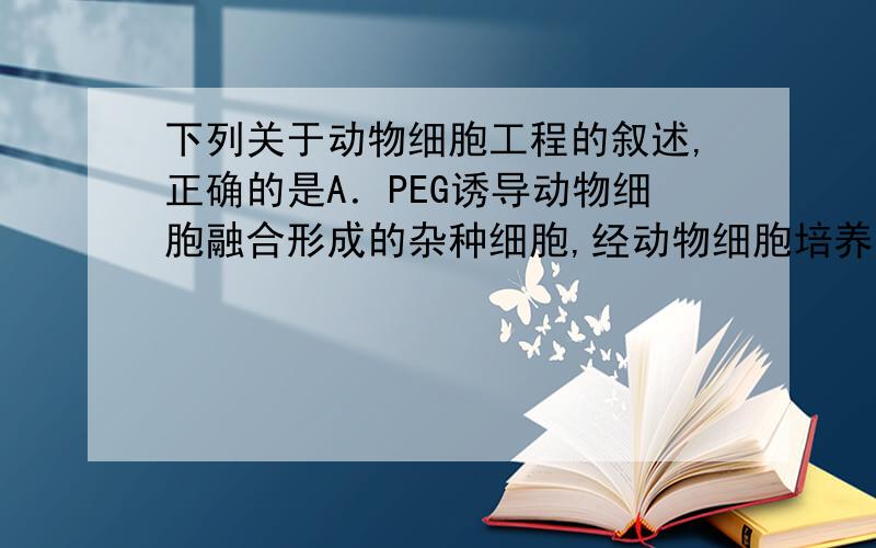 下列关于动物细胞工程的叙述,正确的是A．PEG诱导动物细胞融合形成的杂种细胞,经动物细胞培养能得到优良动物个体 B．使用冷冻保存的正常细胞通常为10代以内,以保持细胞正常的二倍体核