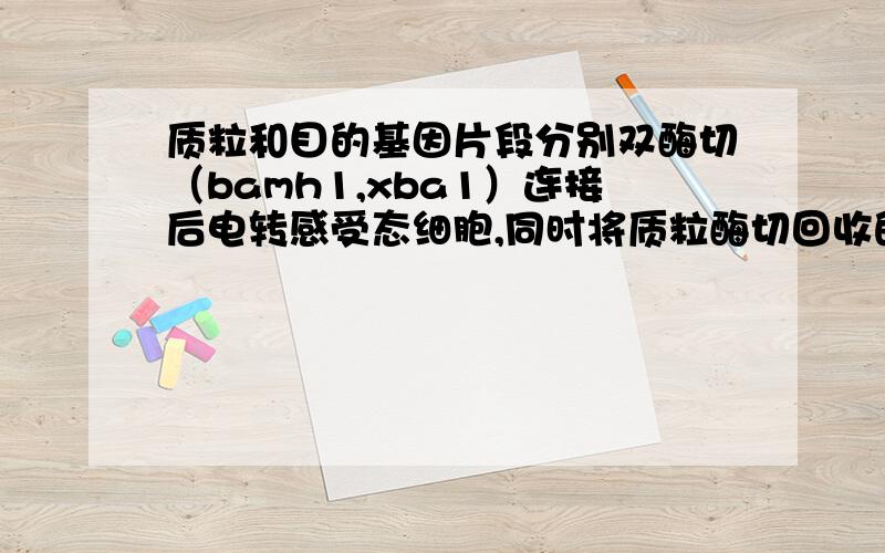 质粒和目的基因片段分别双酶切（bamh1,xba1）连接后电转感受态细胞,同时将质粒酶切回收的片段转化做对照质粒和目的基因片段分别双酶切（bamh1,xba1）连接后电转感受态细胞,同时做对照：质