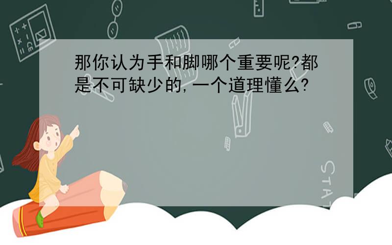 那你认为手和脚哪个重要呢?都是不可缺少的,一个道理懂么?