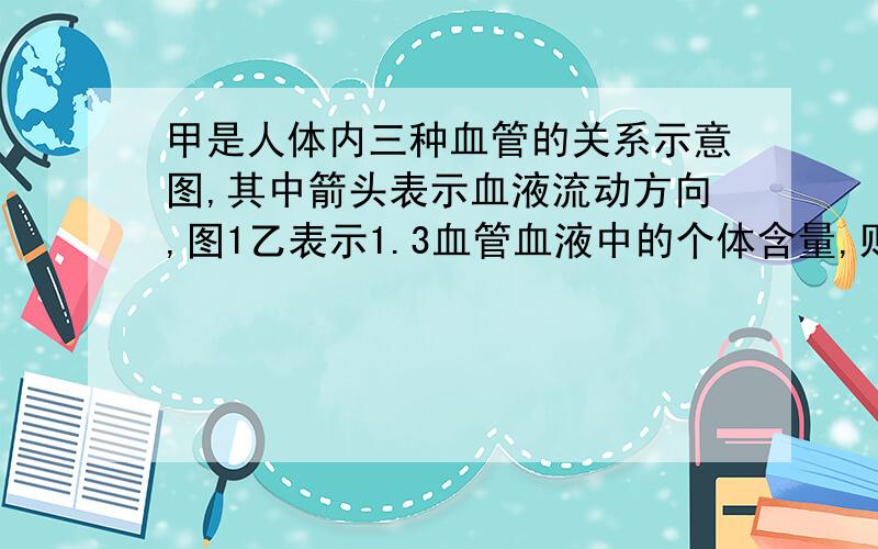 甲是人体内三种血管的关系示意图,其中箭头表示血液流动方向,图1乙表示1.3血管血液中的个体含量,则下列判断正确的是【 】A.1血管为提静脉B.1血管内流的是动脉血C.3血管为肺动脉D.2表示肺