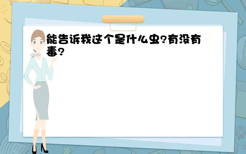 能告诉我这个是什么虫?有没有毒?