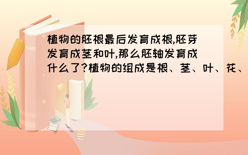 植物的胚根最后发育成根,胚芽发育成茎和叶,那么胚轴发育成什么了?植物的组成是根、茎、叶、花、果实和种子,那么这些器官具体是由什么发育而来的呢?