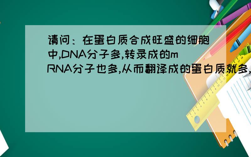 请问：在蛋白质合成旺盛的细胞中,DNA分子多,转录成的mRNA分子也多,从而翻译成的蛋白质就多,如胰岛细胞与口腔上皮细胞相较就是如此这是对还是错?要理由