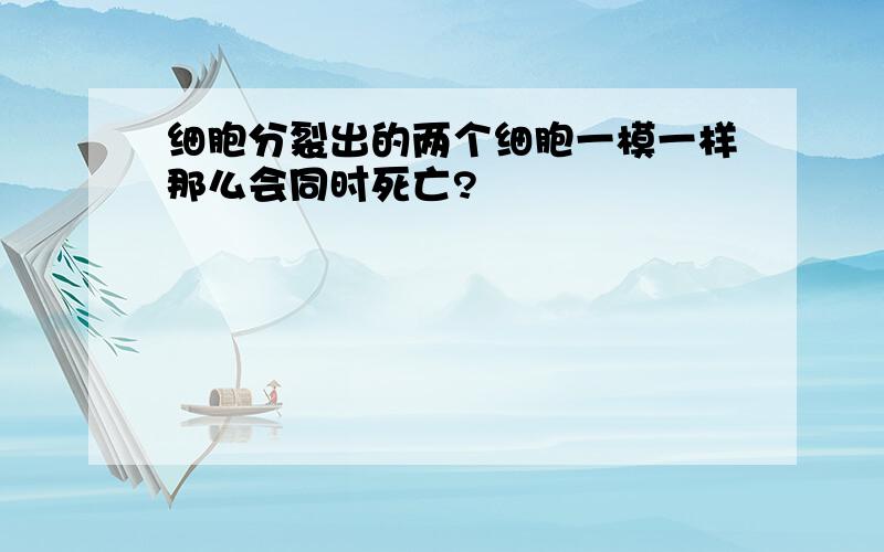 细胞分裂出的两个细胞一模一样那么会同时死亡?