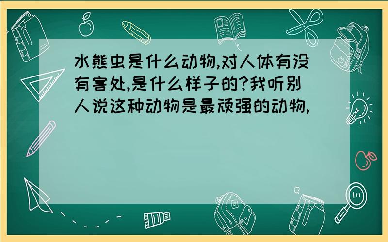 水熊虫是什么动物,对人体有没有害处,是什么样子的?我听别人说这种动物是最顽强的动物,