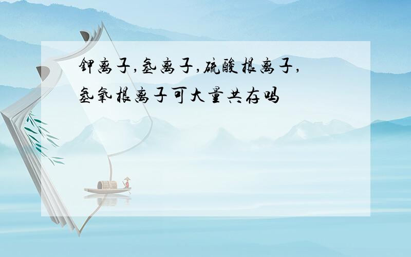 钾离子,氢离子,硫酸根离子,氢氧根离子可大量共存吗