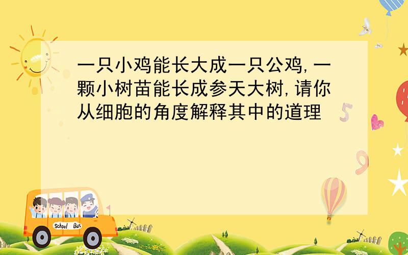 一只小鸡能长大成一只公鸡,一颗小树苗能长成参天大树,请你从细胞的角度解释其中的道理