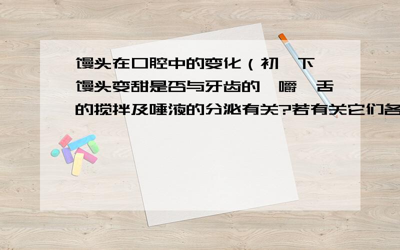 馒头在口腔中的变化（初一下 馒头变甜是否与牙齿的咀嚼、舌的搅拌及唾液的分泌有关?若有关它们各起什么作用?馒头变甜是否淀粉发生了变化?