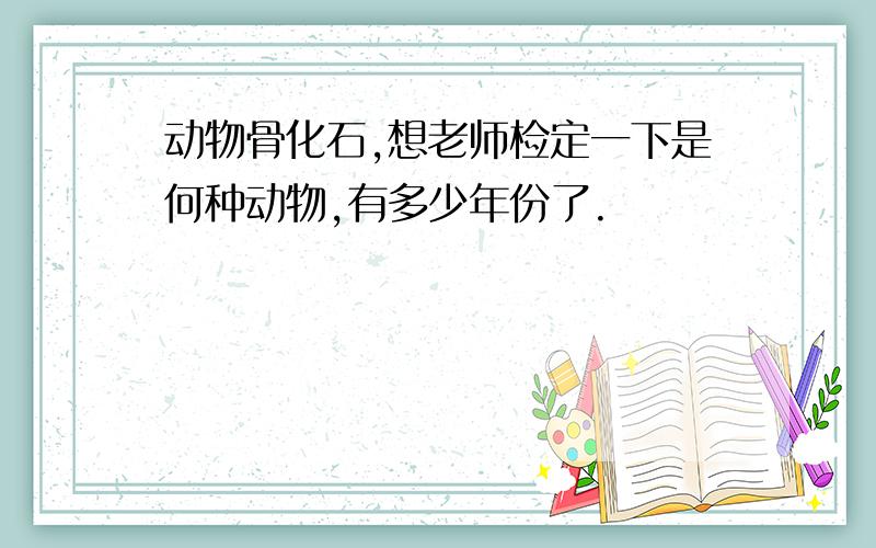 动物骨化石,想老师检定一下是何种动物,有多少年份了.