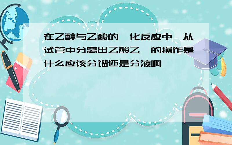 在乙醇与乙酸的酯化反应中,从试管中分离出乙酸乙酯的操作是什么应该分馏还是分液啊