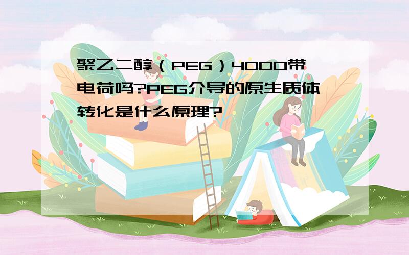 聚乙二醇（PEG）4000带电荷吗?PEG介导的原生质体转化是什么原理?