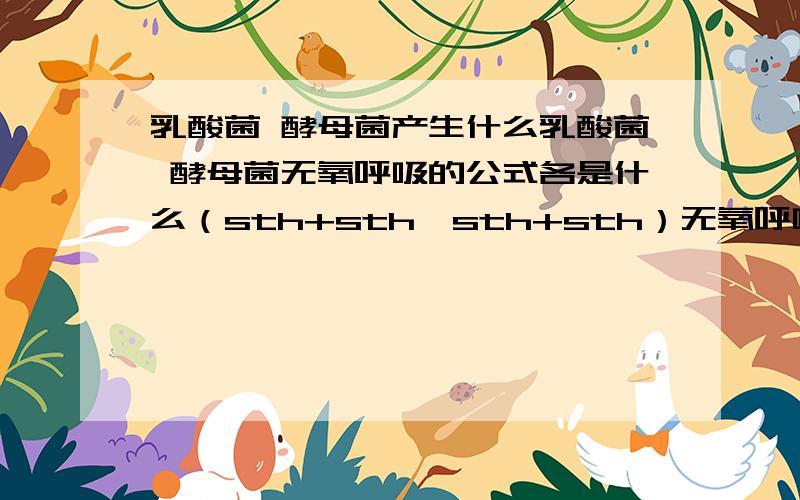 乳酸菌 酵母菌产生什么乳酸菌 酵母菌无氧呼吸的公式各是什么（sth+sth→sth+sth）无氧呼吸能产生co2么?水呢?无机盐呢?红细胞只能无氧呼吸么?