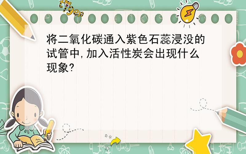 将二氧化碳通入紫色石蕊浸没的试管中,加入活性炭会出现什么现象?