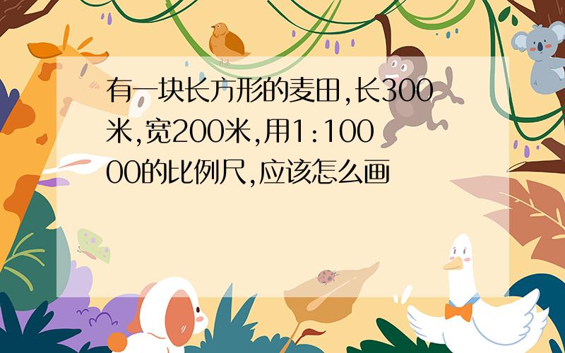 有一块长方形的麦田,长300米,宽200米,用1:10000的比例尺,应该怎么画