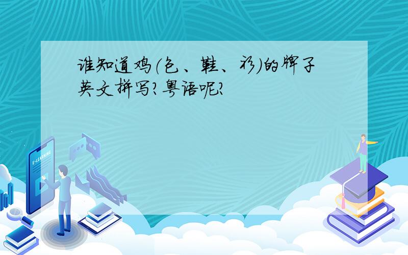 谁知道鸡（包、鞋、衫）的牌子英文拼写?粤语呢?