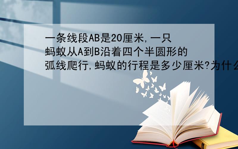 一条线段AB是20厘米,一只蚂蚁从A到B沿着四个半圆形的弧线爬行,蚂蚁的行程是多少厘米?为什么?