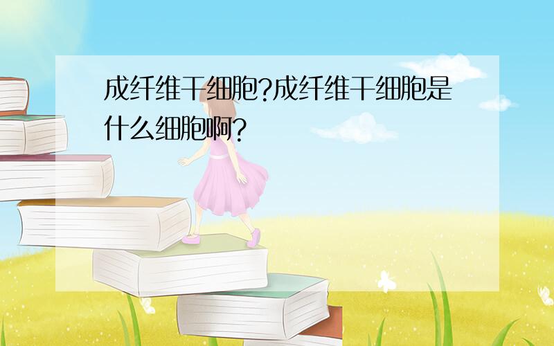 成纤维干细胞?成纤维干细胞是什么细胞啊?