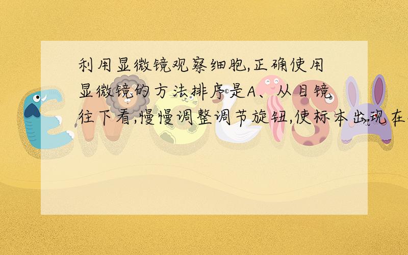 利用显微镜观察细胞,正确使用显微镜的方法排序是A、从目镜往下看,慢慢调整调节旋钮,使标本出现在视野里为止.B、调节载物台下的反光镜,从目镜往下看,能看见一个亮的光圈.C、将观察的标