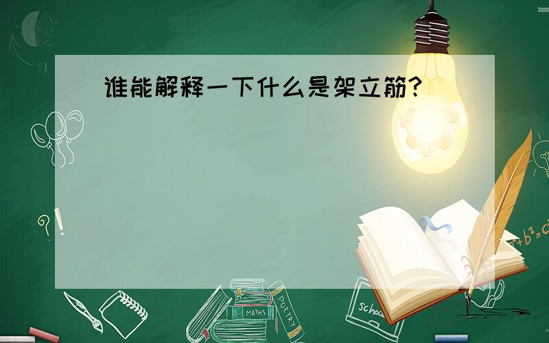 谁能解释一下什么是架立筋?