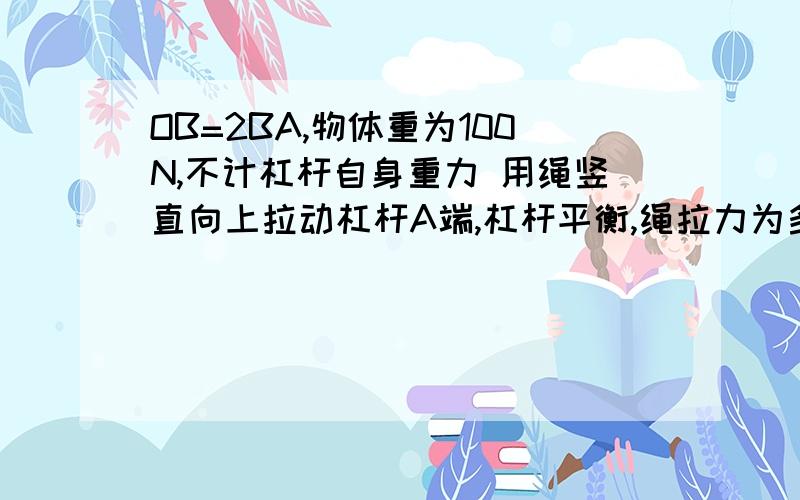 OB=2BA,物体重为100N,不计杠杆自身重力 用绳竖直向上拉动杠杆A端,杠杆平衡,绳拉力为多少