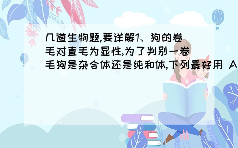 几道生物题,要详解1、狗的卷毛对直毛为显性,为了判别一卷毛狗是杂合体还是纯和体,下列最好用 A、直毛狗B、杂合卷毛狗答案是A,我想知道B为什么不行2、人类多指基因T对正常基因t为显性,