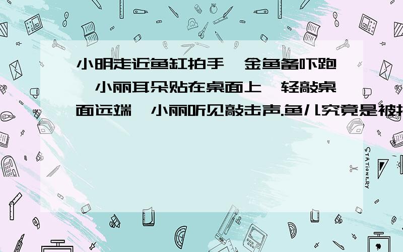 小明走近鱼缸拍手,金鱼备吓跑,小丽耳朵贴在桌面上,轻敲桌面远端,小丽听见敲击声.鱼儿究竟是被拍手声吓跑的还是被拍手动作吓跑的?敲击声是通过空气还是桌面传入耳朵人耳?