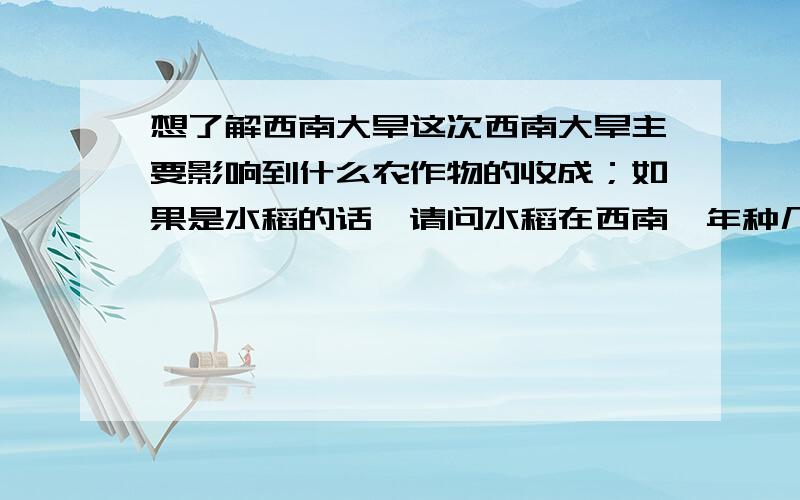 想了解西南大旱这次西南大旱主要影响到什么农作物的收成；如果是水稻的话,请问水稻在西南一年种几季,都在什么时候种?水稻田是要放水的,请问西南地区一般是什么时候放水?我一直很好