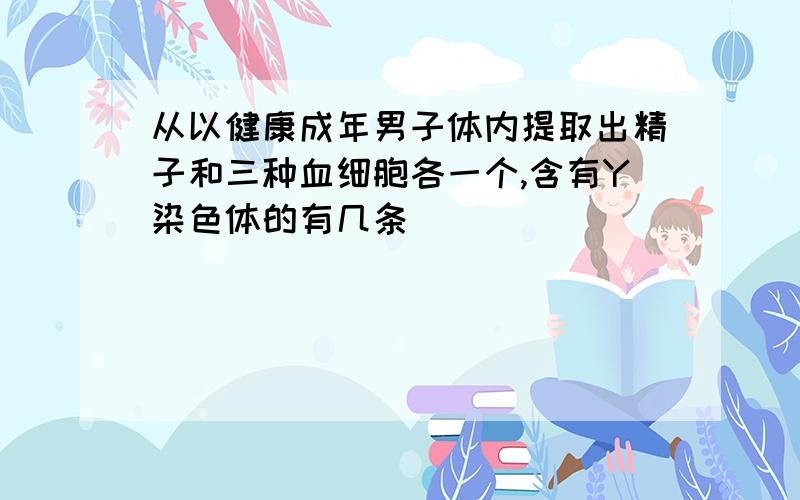 从以健康成年男子体内提取出精子和三种血细胞各一个,含有Y染色体的有几条