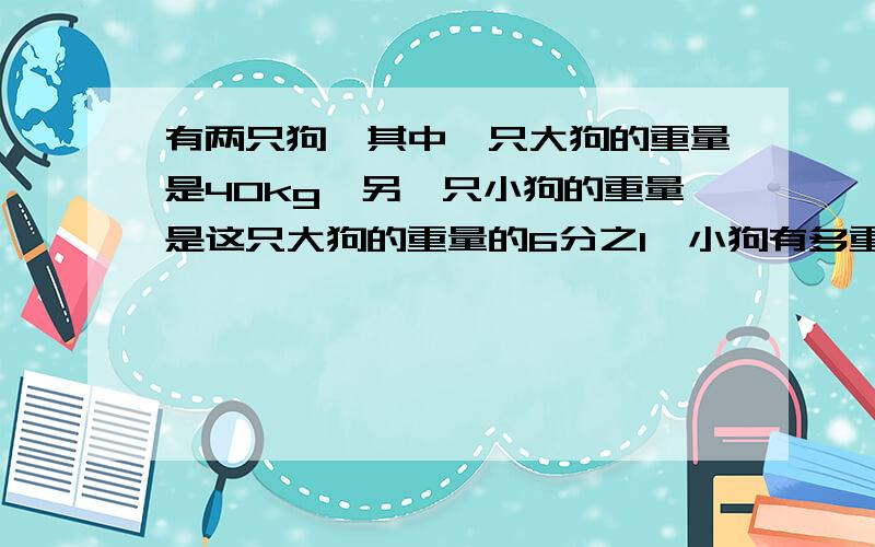 有两只狗,其中一只大狗的重量是40kg,另一只小狗的重量是这只大狗的重量的6分之1,小狗有多重?用x做