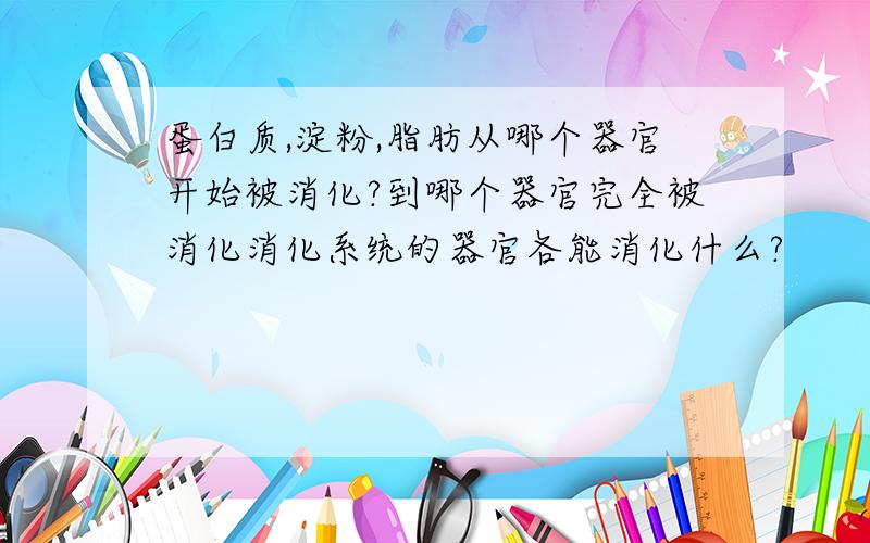 蛋白质,淀粉,脂肪从哪个器官开始被消化?到哪个器官完全被消化消化系统的器官各能消化什么?