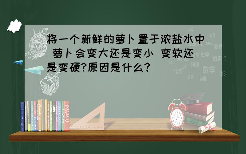 将一个新鲜的萝卜置于浓盐水中 萝卜会变大还是变小 变软还是变硬?原因是什么?