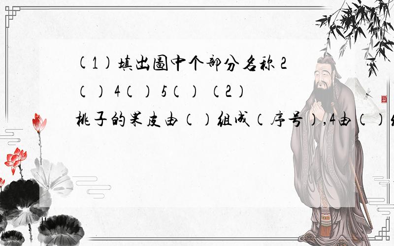 (1)填出图中个部分名称 2（） 4（） 5（） （2）桃子的果皮由（）组成（序号）,4由（）发育而来果皮由（）发育而来,5由（）发育而来