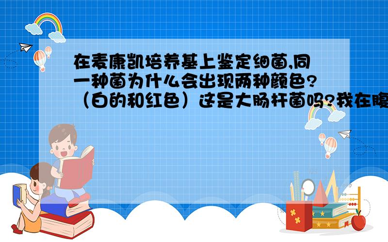 在麦康凯培养基上鉴定细菌,同一种菌为什么会出现两种颜色?（白的和红色）这是大肠杆菌吗?我在腹泻牛的粪便中分离出的菌,其中有一个菌落我想鉴别一下是什么菌,在伊红美兰上是粉红色,