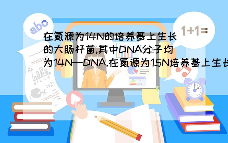 在氮源为14N的培养基上生长的大肠杆菌,其中DNA分子均为14N—DNA,在氮源为15N培养基上生长的大肠杆菌,其中DNA分子均位15N—DNA.若将 14N—DNA、15N—DNA以及14N、15N—DNA混在一起,用某种方法离心分