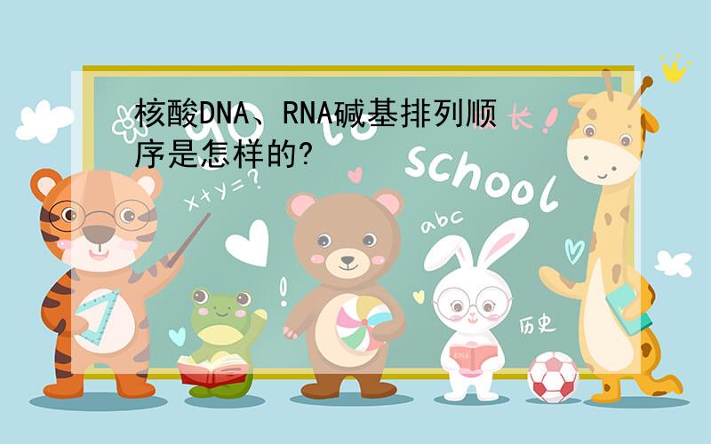 核酸DNA、RNA碱基排列顺序是怎样的?