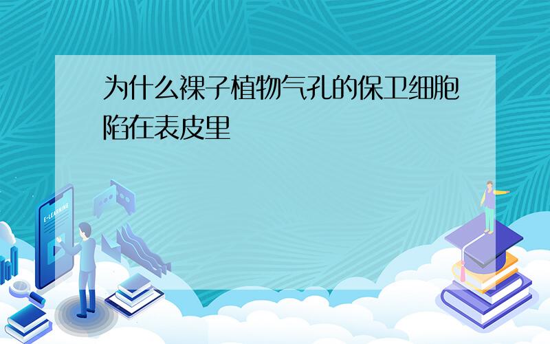 为什么裸子植物气孔的保卫细胞陷在表皮里