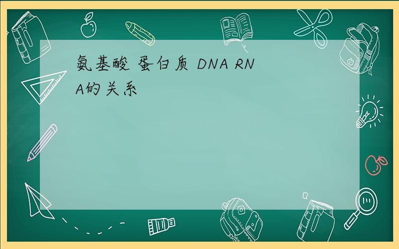 氨基酸 蛋白质 DNA RNA的关系