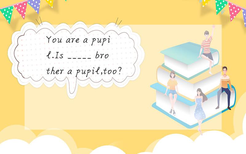 You are a pupil.Is _____ brother a pupil,too?