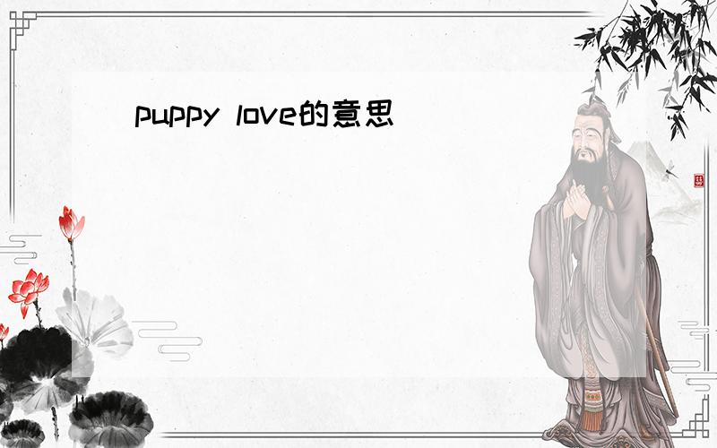 puppy love的意思