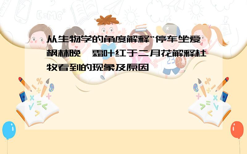 从生物学的角度解释“停车坐爱枫林晚,霜叶红于二月花解释杜牧看到的现象及原因