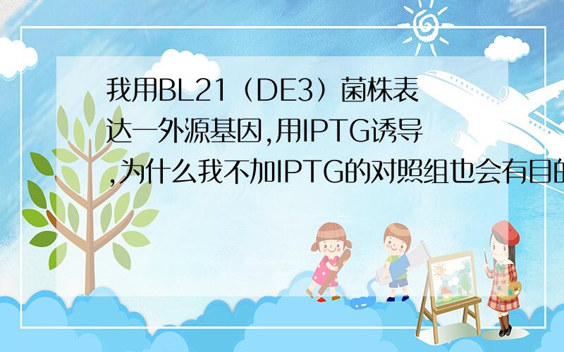 我用BL21（DE3）菌株表达一外源基因,用IPTG诱导,为什么我不加IPTG的对照组也会有目的蛋白的表达呢?