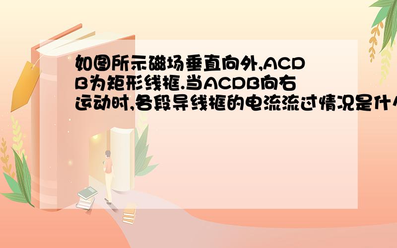 如图所示磁场垂直向外,ACDB为矩形线框.当ACDB向右运动时,各段导线框的电流流过情况是什么?