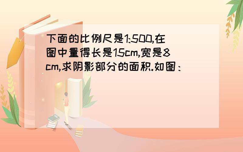 下面的比例尺是1:500,在图中量得长是15cm,宽是8cm,求阴影部分的面积.如图：