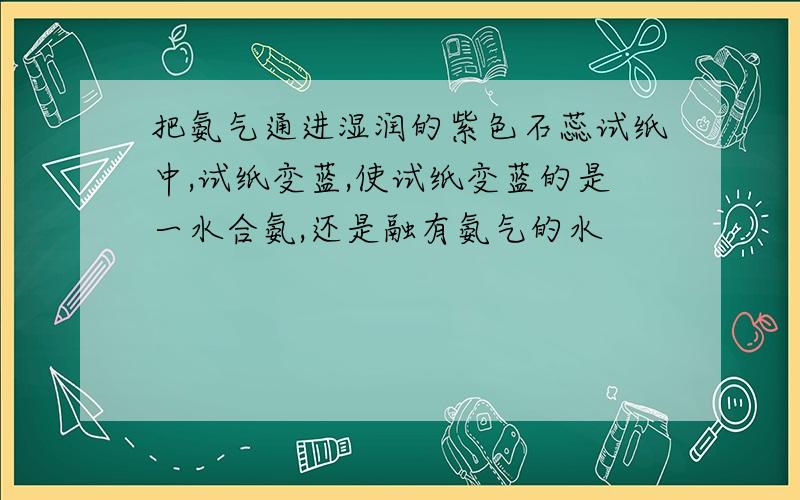 把氨气通进湿润的紫色石蕊试纸中,试纸变蓝,使试纸变蓝的是一水合氨,还是融有氨气的水