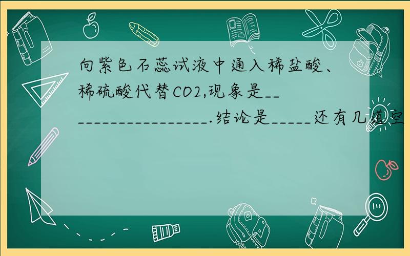 向紫色石蕊试液中通入稀盐酸、稀硫酸代替CO2,现象是__________________.结论是_____还有几道空着的题.求教 图片顺序应该是1 3 2 4