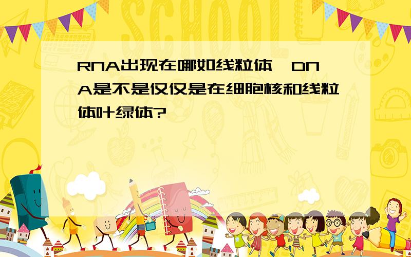 RNA出现在哪如线粒体,DNA是不是仅仅是在细胞核和线粒体叶绿体?