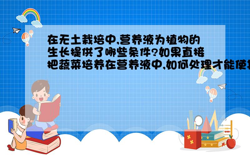 在无土栽培中,营养液为植物的生长提供了哪些条件?如果直接把蔬菜培养在营养液中,如何处理才能使其正常生长?